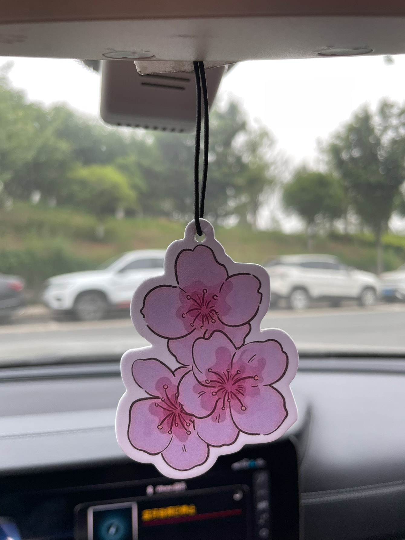 Sakura/Freesia, een frisse geu - Home Fragrance Non Toxic recensie en prijs